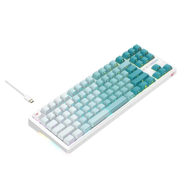 Mechanical Gaming Keyboard Havit KB 901L
