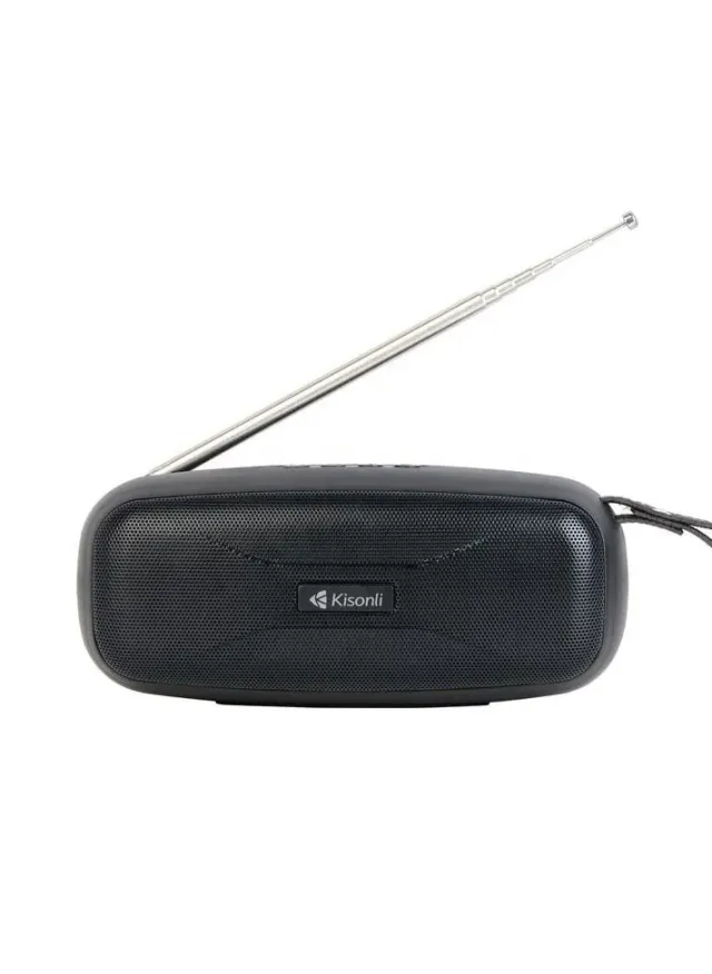 Speaker Kisonli VS-1