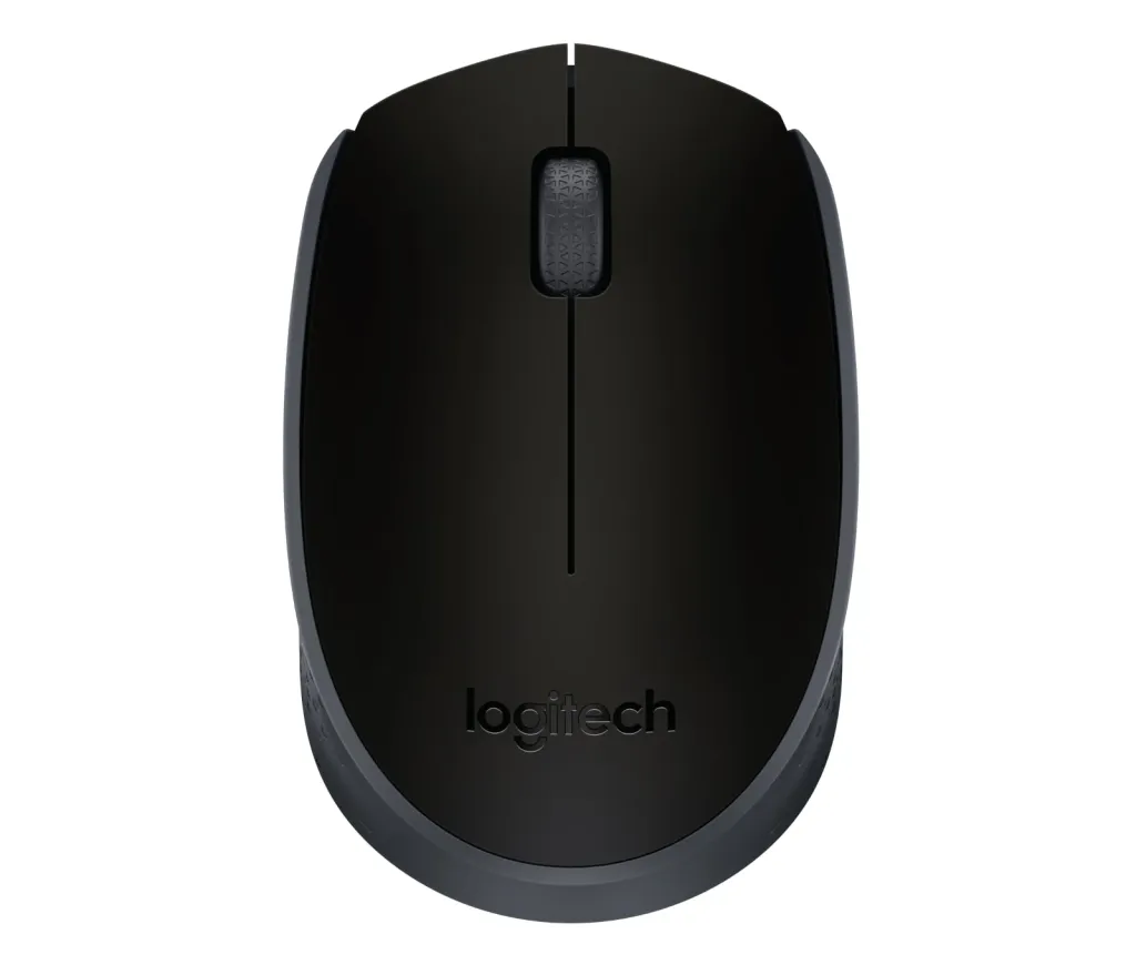 Mouse Logitech M171
