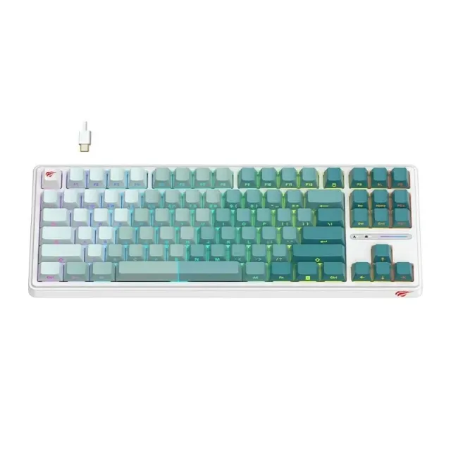 Mechanical Gaming Keyboard Havit KB 901L